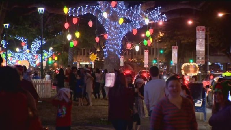 Christmas lights near Honolulu Hale