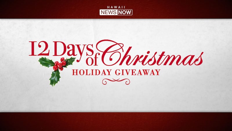 12 Days of Christmas Holiday Giveaway 2024