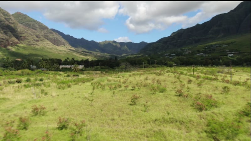 The owner of the Makaha Valley Country Club and hundreds of acres of land in the valley will...