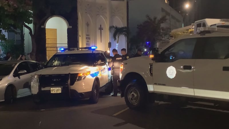 Police take a suspect into custody just outside Don Quijote in Honolulu.