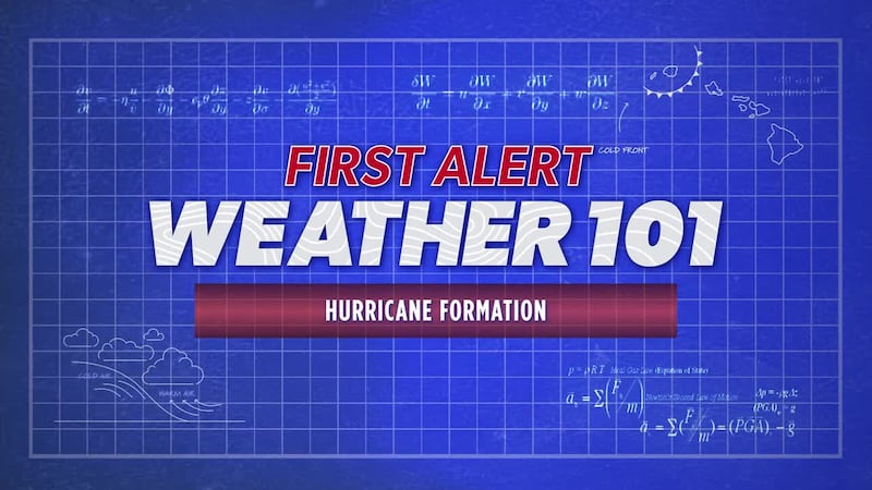 First Alert Weather 101: Hurricane formation