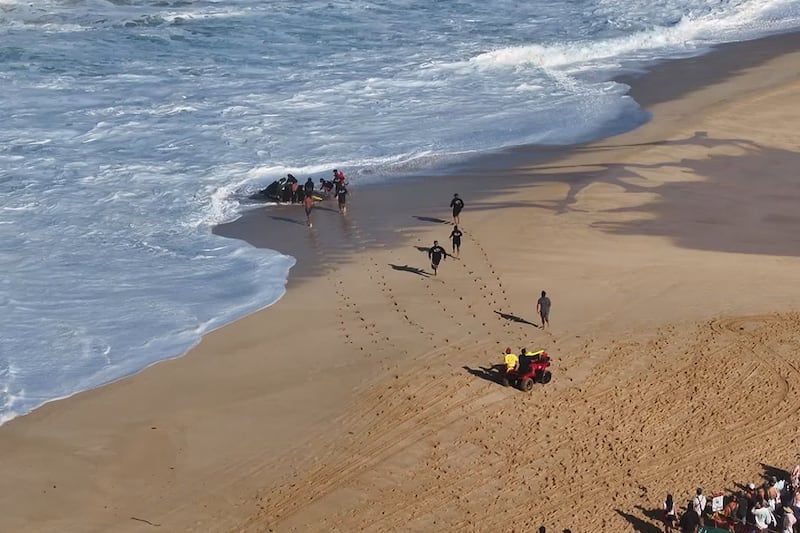 As surfers are taken out of the competition, alternates are brought in for a chance to take on...