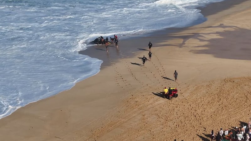 As surfers are taken out of the competition, alternates are brought in for a chance to take on...