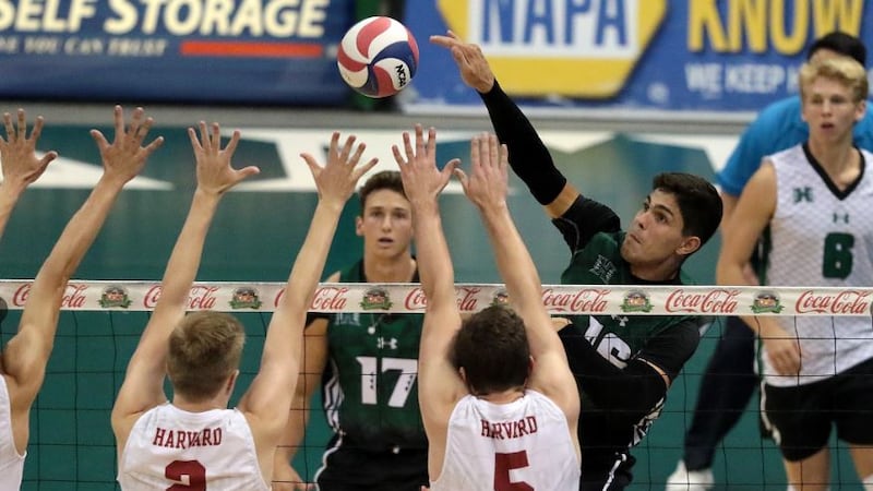 UH remained perfect on the year while also extending its tournament win streak to eight dating...