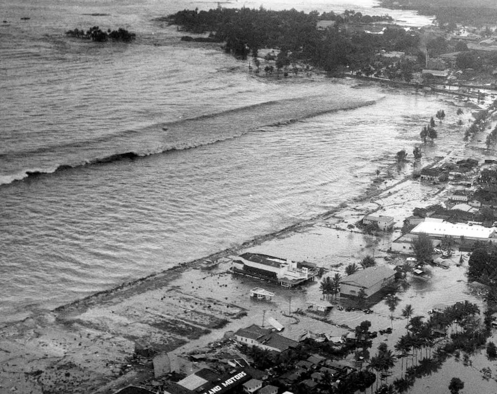 (Image: Pacific Tsunami Museum)