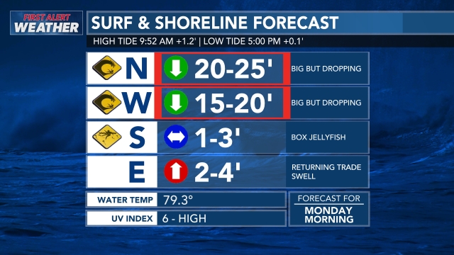 Surf Report