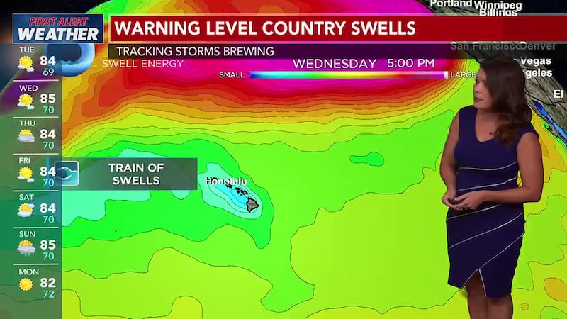 Trades are backing down and we are tracking big swells this week and that may mean Christmas...