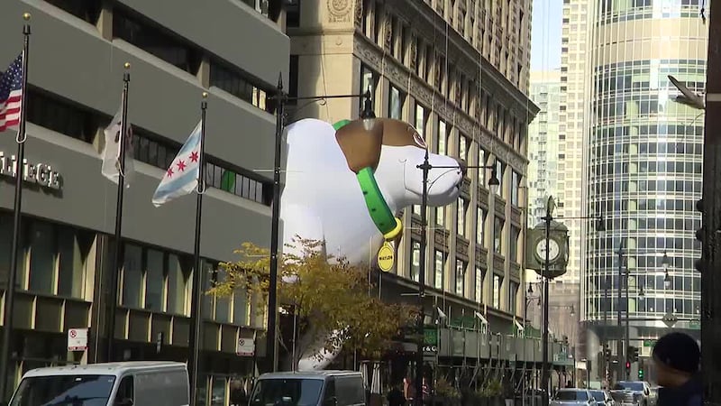 Oversized, inflatable pup Waylon is wedged between two Chicago hotels; organizers hope it...