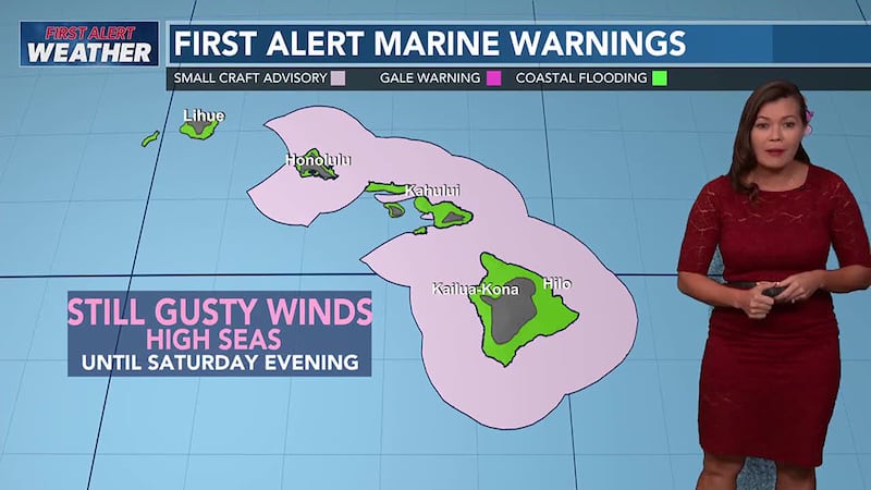 Trade winds slowing down slightly