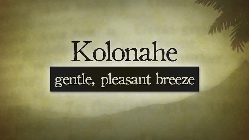 Today's Hawaiian word is Kolonahe, a word to describe a gentle pleasant breeze.