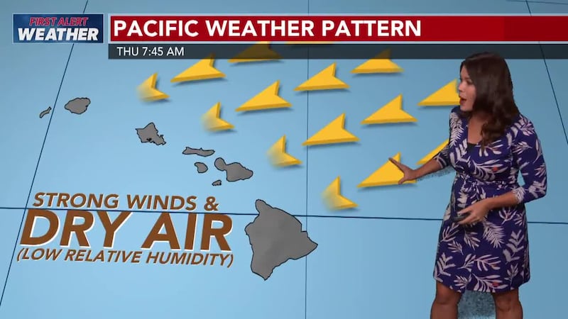 Tracking blustery trade winds