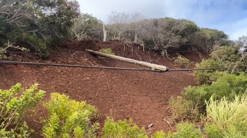 The toppled infrastructure appears precariously balanced on a steep hillside above Maunaloa...