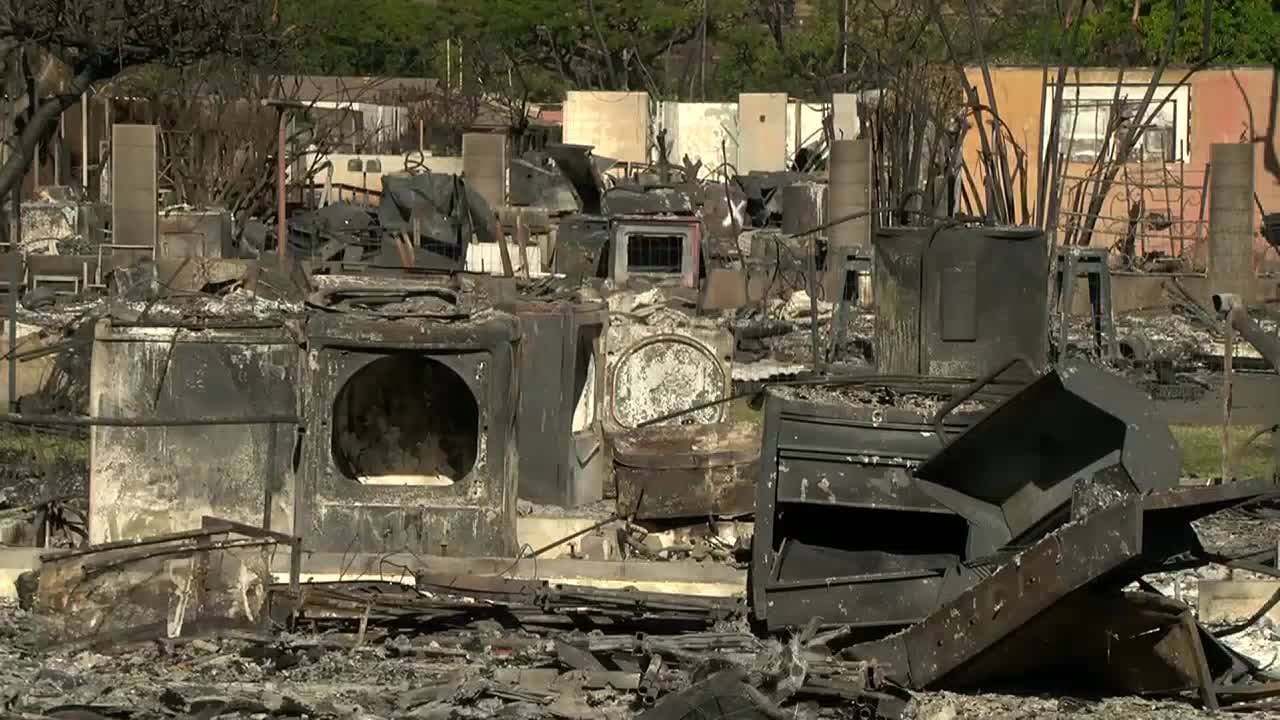 Lahaina disaster zone